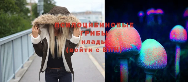 гашик Арсеньев