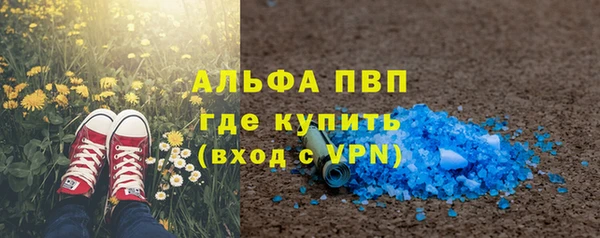 гашик Арсеньев