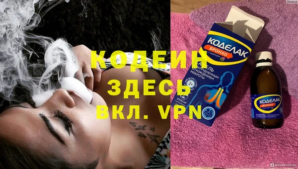 гашик Арсеньев