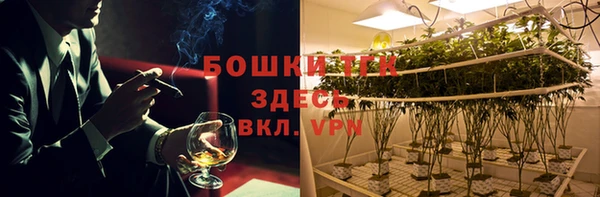гашик Арсеньев