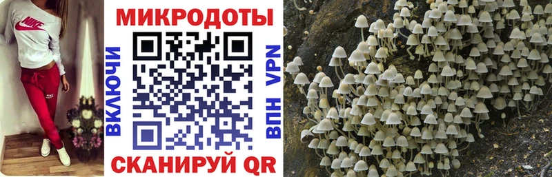 МЕГА как войти  хочу   Починок  Псилоцибиновые грибы Psilocybe 